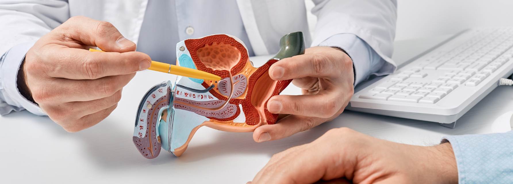 El cáncer de próstata explicado