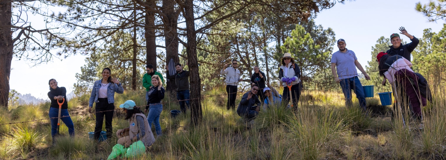 Weser Pharma aporta a la reforestación en México