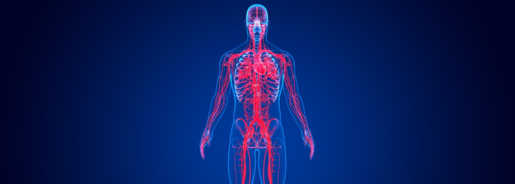 Algunos de los problemas circulatorios más comunes
