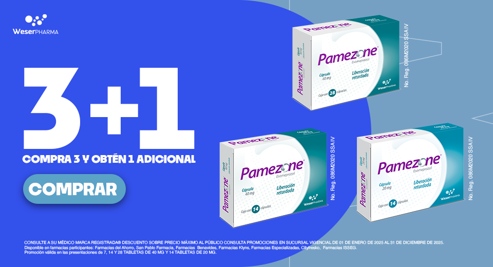 PAMEZONE